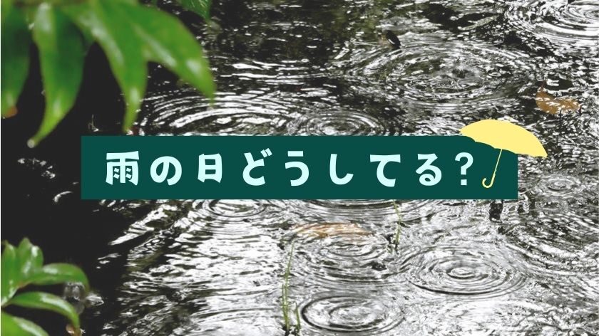 雨の日ウォーキング代わり